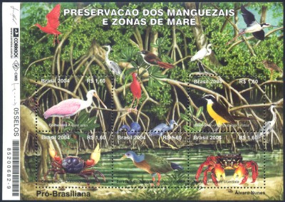 manguezais2