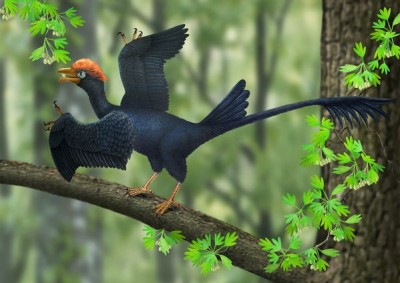 Ilustração cortesia Aijuan Shi