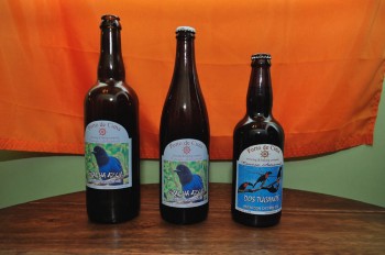 cerveja