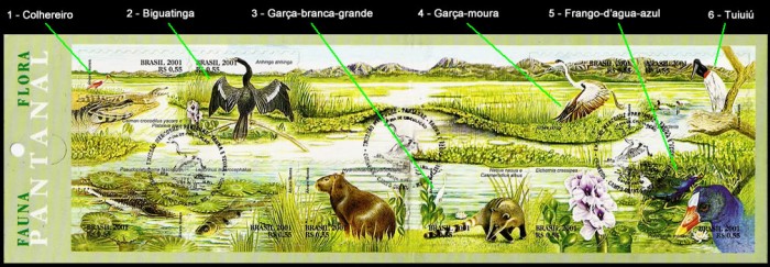 Pantanal