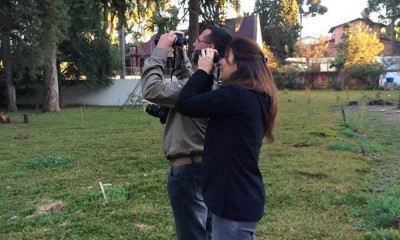 observacao