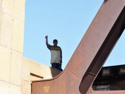 José Amaral