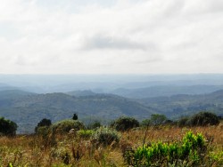Paisagem