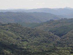 Paisagem