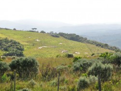Paisagem