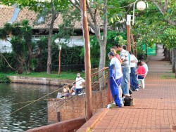 pescadores_no_igapo