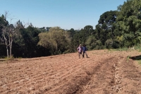 Agricultura regenerativa, Eletrocultura e observação de aves em um único lugar